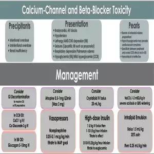 Calcium-Channel and Beta-Blockker Toxicity